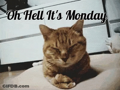 Cat Laying On Lap Saying Oh Hell Its Monday GIF