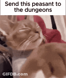 Cat Laying On Lap Saying Send This Peasant To The Dungeons GIF
