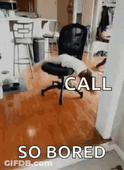 Cat Laying On Office Chair Saying Call So Bored GIF