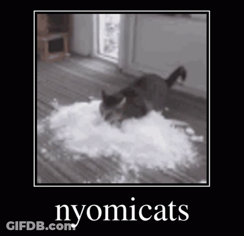 Cat Laying On Pile Of Flour GIF