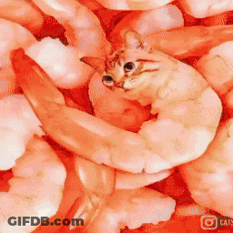 Cat Laying On Pile Of Shrimp With Cat Logo GIF