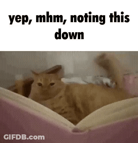 Cat Laying On Pink Pillow GIF