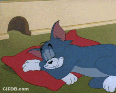 Cat Laying On Red Pillow GIF