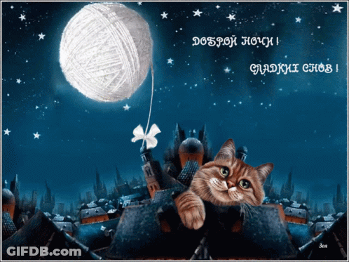 Cat Laying On Roof With Ball Of Yarn GIF
