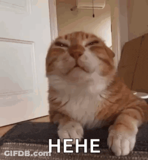 Cat Laying On Rug With Closed Eyes Nene GIF