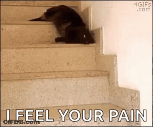 Cat Laying On Stairs Saying I Feel Your Pain GIF
