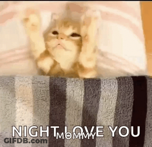 Cat Laying On Striped Blanket Saying Night Love You GIF