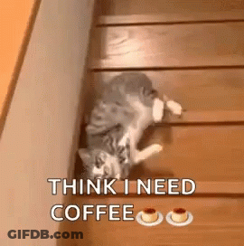 Cat Laying On Wooden Stairs GIF