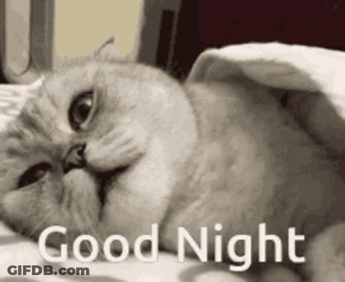 Cat Laying Under Blanket Good Night GIF