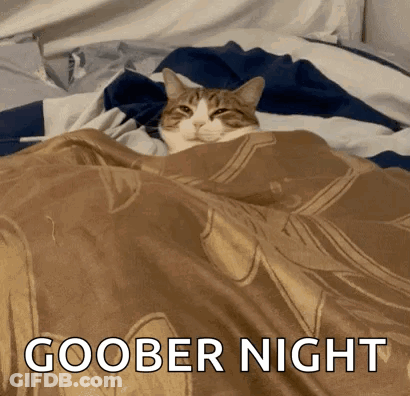 Cat Laying Under Blanket Saying Goober Night GIF