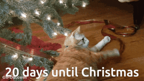 Cat Laying Under Christmas Tree 20 Days Until Christmas GIF