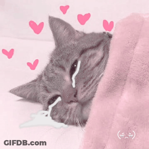 Cat Laying Under Pink Blanket With Hearts GIF