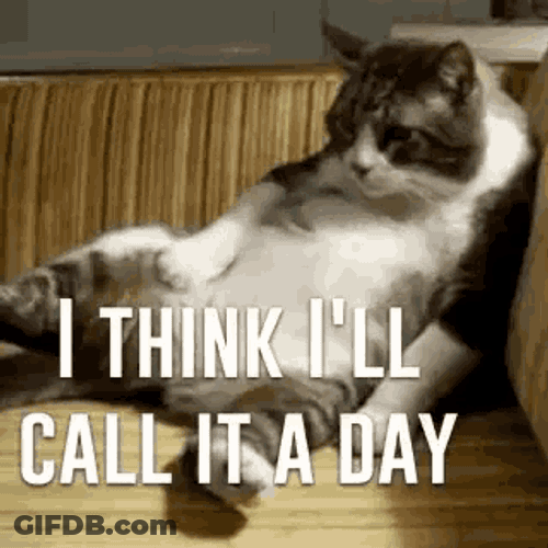 Cat Lazy GIF