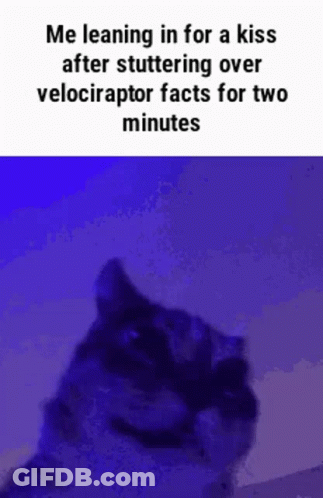 Cat Leaning For Kiss After Stuttering Velociraptor Facts GIF