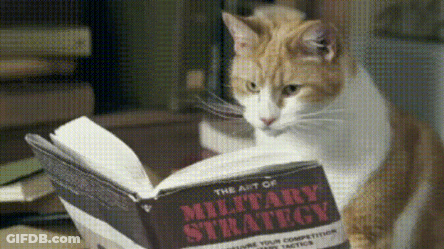 Cat Learning Military Strategy Meme GIF