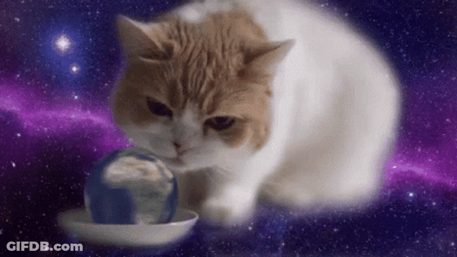 Cat Licking Rotating Globe GIF