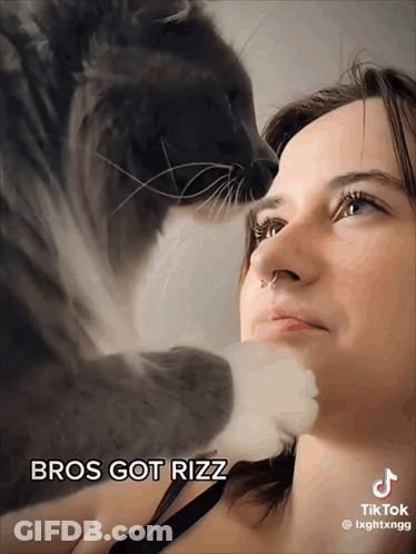 Cat Licking Woman's Face Bros Got Rizz GIF