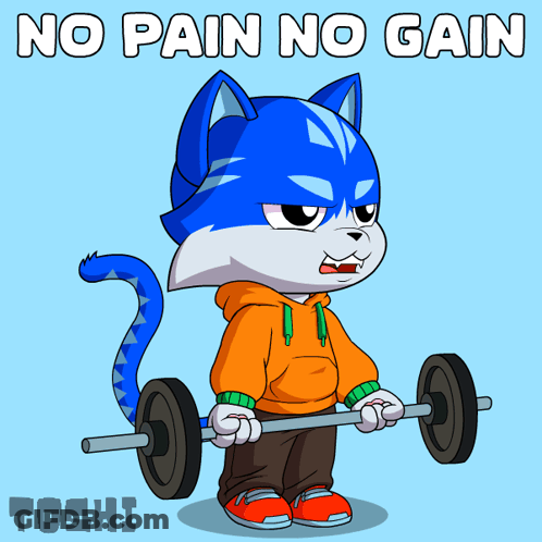 Cat Lifting Barbell No Pain No Gain GIF