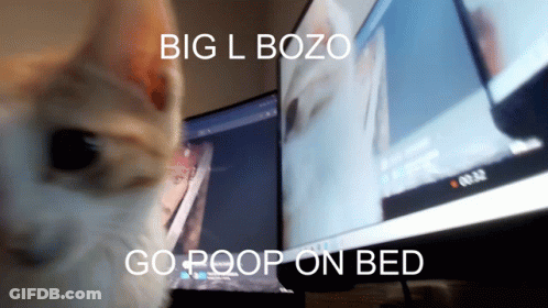 Cat Looking At Big L Bozo Go Poop GIF