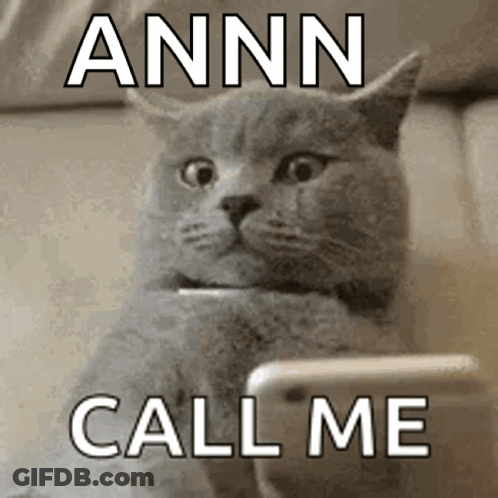 Cat Looking At Cell Phone Saying Annn Call Me GIF
