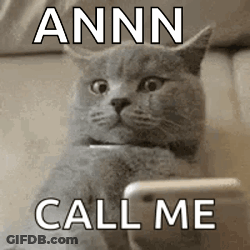 Cat Looking At Cell Phone Saying Annn Call Me GIF
