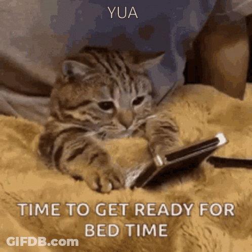 Cat Looking At Cell Phone Says Time For Bed GIF