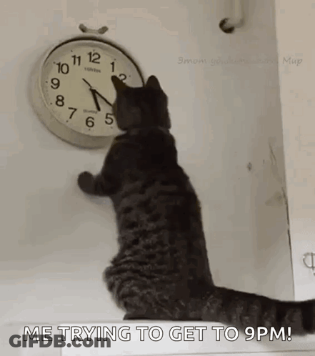 Cat Looking At Clock Saying Me Trying To Get To 9Pm GIF