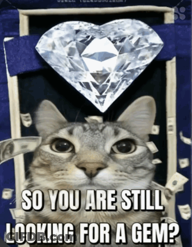 Cat Looking At Heart Shaped Diamond Saying So You Are Still Looking For A Gem GIF