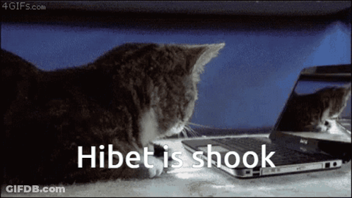 Cat Looking At Laptop Hibet Is Shook GIF