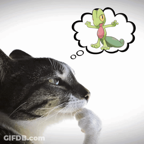 Cat Looking At Lizard Thought Bubble GIF