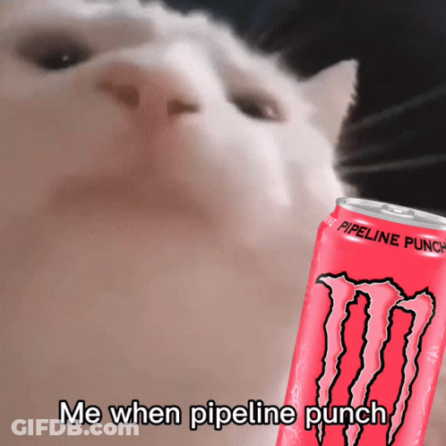 Cat Looking At Monster Energy Pipeline Punch GIF