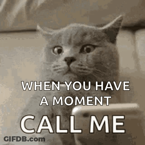 Cat Looking At Phone Saying Call Me GIF