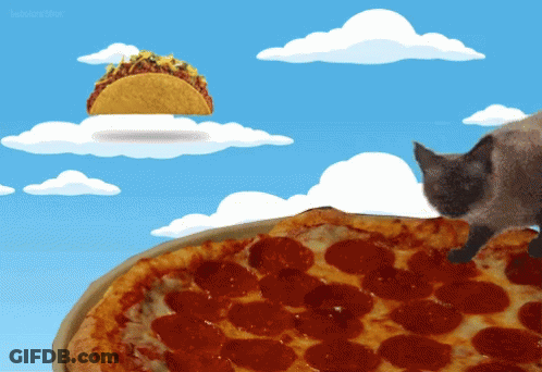 Cat Looking At Pizza With Taco In Sky GIF