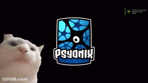 Cat Looking At Rocket League Logo GIF