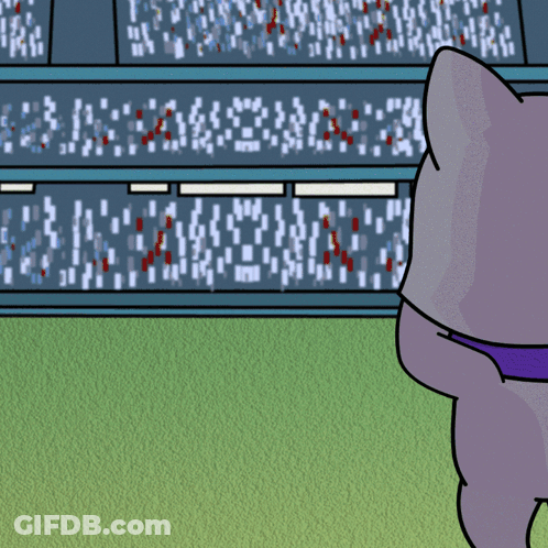 Cat Looking At Scoreboard Saying A GIF