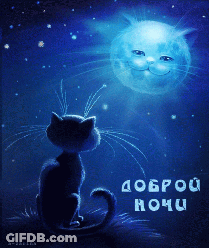 Cat Looking At Smiling Full Moon GIF