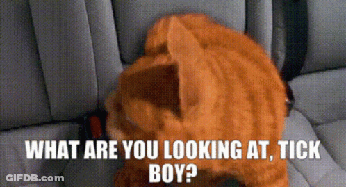 Cat Looking At Tick In Car Seat GIF