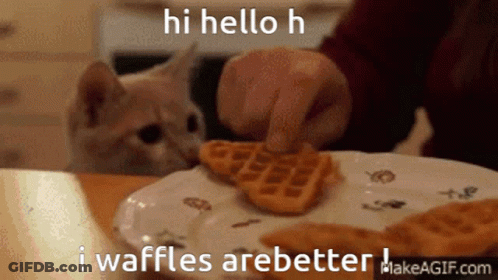 Cat Looking At Waffles GIF