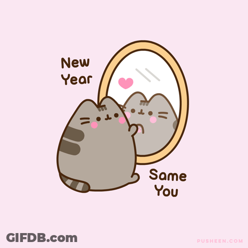 Cat Looking In Mirror New Year Same You GIF