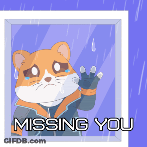 Cat Looking Out Window Missing You GIF