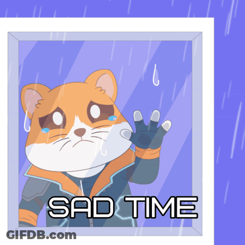 Cat Looking Out Window Saying Sad Time GIF