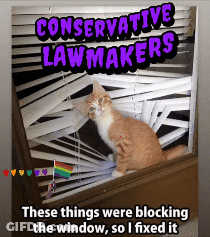 Cat Looking Out Window With Blinds GIF