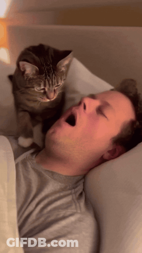 Cat Looking Over Sleeping Man GIF