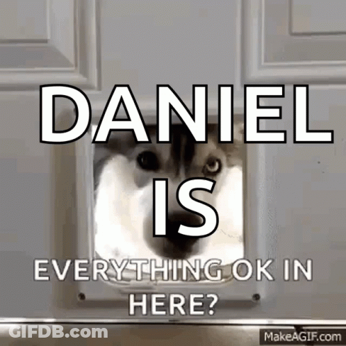 Cat Looking Through Cat Door Saying Daniel Is Everything Ok In Here GIF