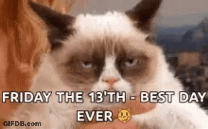 Cat Looking Tired Friday The 13Th GIF