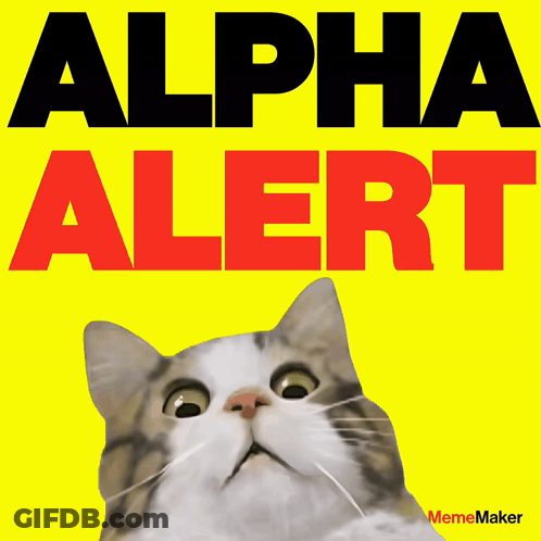 Cat Looking Up At Alert Poster GIF