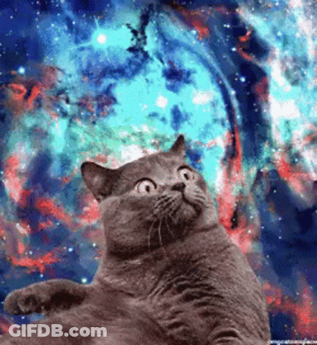 Cat Looking Up At Colorful Galaxy GIF