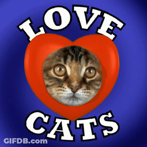 Cat Lover Cat Face On Heart GIF