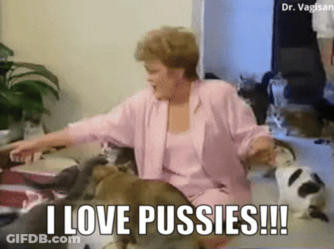 Cat Lover I Love Pussies GIF
