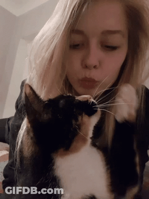 Cat Lover Kissing The Kitty GIF